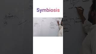 Symbiosisshortvideo [upl. by Esineg]