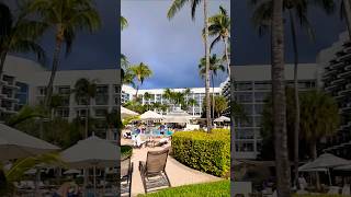 aruba palmbeach resort hotel youtubeshorts travel youtubevideo 🇦🇼🌺 [upl. by Norreht]