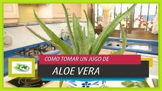 Como Utilizar el jugo de áloe vera para tratamientos medicinales [upl. by Urian]