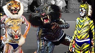 Tiger Dance Barke Tigers Mangalore  Pili Nalike [upl. by Eisseb]