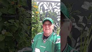 Saskatchewan Roughriders take on Ottawa Redblacks roughriders cfl saskatchewan [upl. by Burkhart]