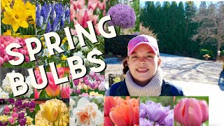 My Biggest Spring Bulb Order Ever [upl. by Attennot]