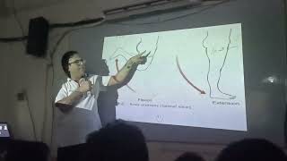 Antagonistic muscles in the movement of knee joint [upl. by Donnie919]