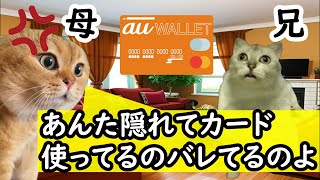 兄が勝手にカード使い込んでいた話 猫マニ 猫ミーム ギャンブル [upl. by Ekusoyr]