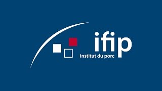 Présentation de lIFIPInstitut du porc FR [upl. by Becki]