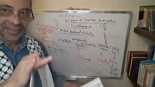 Module 310  Lecture 35 part 3 Sulfonamides cont amp Cotrimoxazole [upl. by Hsatan902]