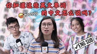 你知道这些英文单词的中文怎么说吗 What Are The Phrases in Chinese [upl. by Broder]