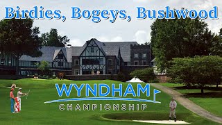 2024 Wyndham Championship Preview Draftkings Strategy Betting Tips One and Done Picks PGA DFS [upl. by Kred878]