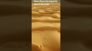 Discover the Sahara Desert A Land of Golden Dunes and Timeless Traditions [upl. by Mascia733]