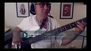 Michel Jonasz  Joueur de Blues Bass Cover [upl. by Sanferd]