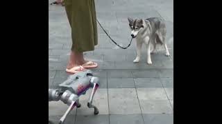 New doglike robot from Boston Dynamics can open doors [upl. by Gaither]