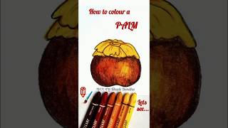 Palm Drawing  Easy palm drawTal Drawing  How to draw Palm step by step  তাল আঁকা শিখি সহজ নিয়মে [upl. by Hamal837]