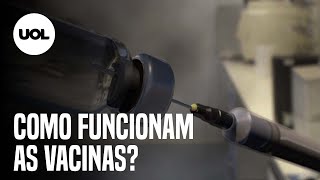 Covid19 Como funcionam as vacinas [upl. by Cutcheon]