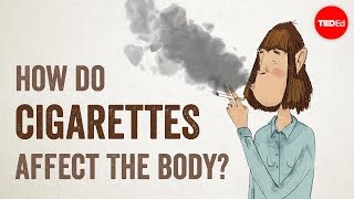 How do cigarettes affect the body  Krishna Sudhir [upl. by Nnaeirelav]