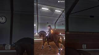 Star stable dressage edit 🐴🐴🐴 [upl. by Shelby242]