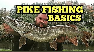 PIKE FISHING FOR BEGINNERS  FLOAT LEDGER STEP BY STEP BAITS ROD REELS AND PIKE ACTION [upl. by Albarran]