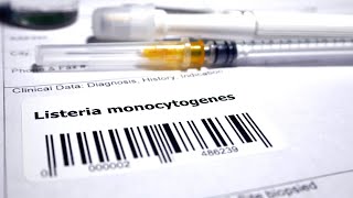 Unveiling the Hidden Dangers Listeria monocytogenes Revealed [upl. by Jeremiah]