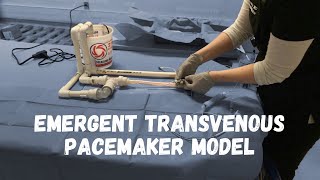 Transvenous Pacemaker Placement Training Model [upl. by Ingrim265]