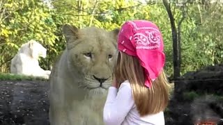 Girl Saved A Dying Lion From Trap And Years Later What The Lion Did Will Shock You [upl. by Caplan546]