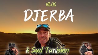 Djerba et ses alentours MES 10 BONS PLANS🌞🐫 [upl. by Tibbitts871]