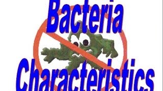 Bacteria Basics Notes [upl. by Lorrin]