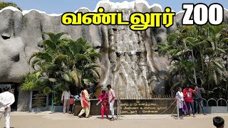 VANDALUR ZOO 2021 Arignar Anna Zoological park vandalur chennai zoo [upl. by Gnaw]