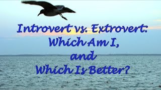 Introvert vs Extrovert Which Am I and Which Is Better [upl. by Eked599]