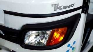 TVS King Fully Electric Auto Rickshaw at 12th Auto Expo 2014 The Motor Show Greater Noida [upl. by Mace296]