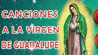 La Virgen De Guadalupe  Cántos a la virgen de Guadalup  Mañanitas Guadalupanas [upl. by Yeldar237]