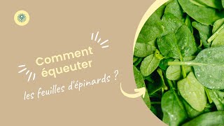 Comment équeuter des feuilles dépinards [upl. by Ahseiat]