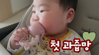 7개월 첫 과즙망🐥 이유식 거부 분유량 이유식량 7개월아기 패턴 asmr버전 육아브이로그가 될뻔했던 브이로그 [upl. by Allicirp]