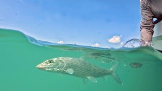 Bonefishing in Belize at El Pescador Lodge Part 2 [upl. by Nolasba]