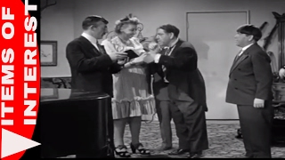 Three Stooges Marriage  3 Stooges Funny  Shemp Howard Married [upl. by Petey]