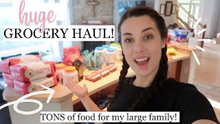 HUGE GROCERY HAUL Costco Lidl amp Meijer FOOD FOR MY LARGE FAMILY [upl. by Safire]