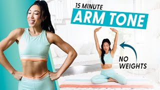 15 Minute Arm Burnout weightless upper body workout [upl. by Ahsinik566]