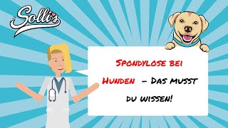 Spondylose beim Hund  Ursachen amp Tipps [upl. by Araeic178]