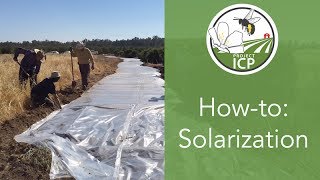 How to Use Solarization to Prepare Areas for Planting [upl. by Llevra]