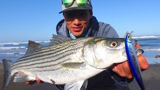 Early Season STRIPED BASS Surf Fishing with a NEW LURE [upl. by Yrollam829]