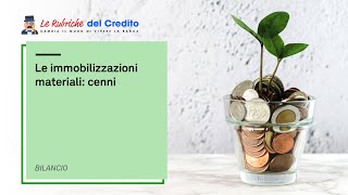 Le immobilizzazioni materiali [upl. by Werda]