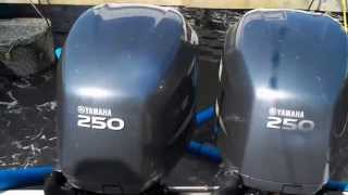 2005 Yamaha F250 Throaty Sound [upl. by Wendel]