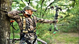 TOP 5 BEST HUNTING BOW 2024 [upl. by Nnodnarb]