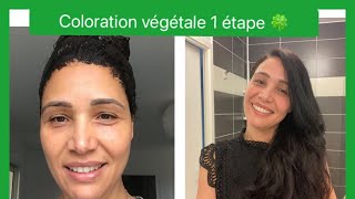 Coloration végétale cheveux blanc 🍀les secrets pour coloration végétale réussite 🍒 [upl. by Enirhtac322]