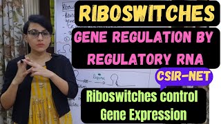 Riboswitches  Regulation of Gene Expression by Riboswitches  Regulatory RNA [upl. by Hobard167]