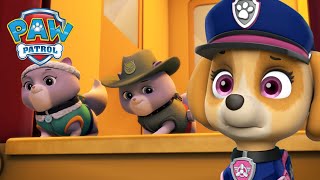 Velká záchrana  Tlapky zachraňují královská koťata  Tlapková Patrola PAW Patrol  pohádky pro děti [upl. by Aramois]