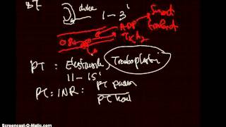 Fisiologi hemostasis [upl. by Waynant]