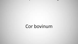 How to say Cor bovinum in English [upl. by Anohsal]