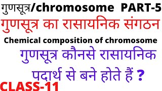 गुणसूत्रpart5गुणसूत्र का रासायनिक संगठनchemical composition of chromosome [upl. by Mannie]