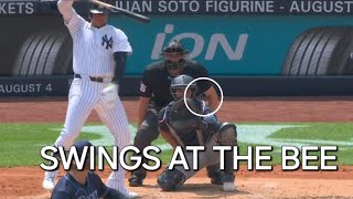 Aaron Boone ejected again Aaron Judge three run home Gleyber Torres STINKS vs Rays [upl. by Mehcanem]