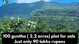 plot size 100 guntha  25 acres । total plot price 90 lakhs ₹ । Bhimashankar hill view । [upl. by Anotal908]