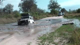 Moremi Game Reserve Botswana HD [upl. by Nossyla639]